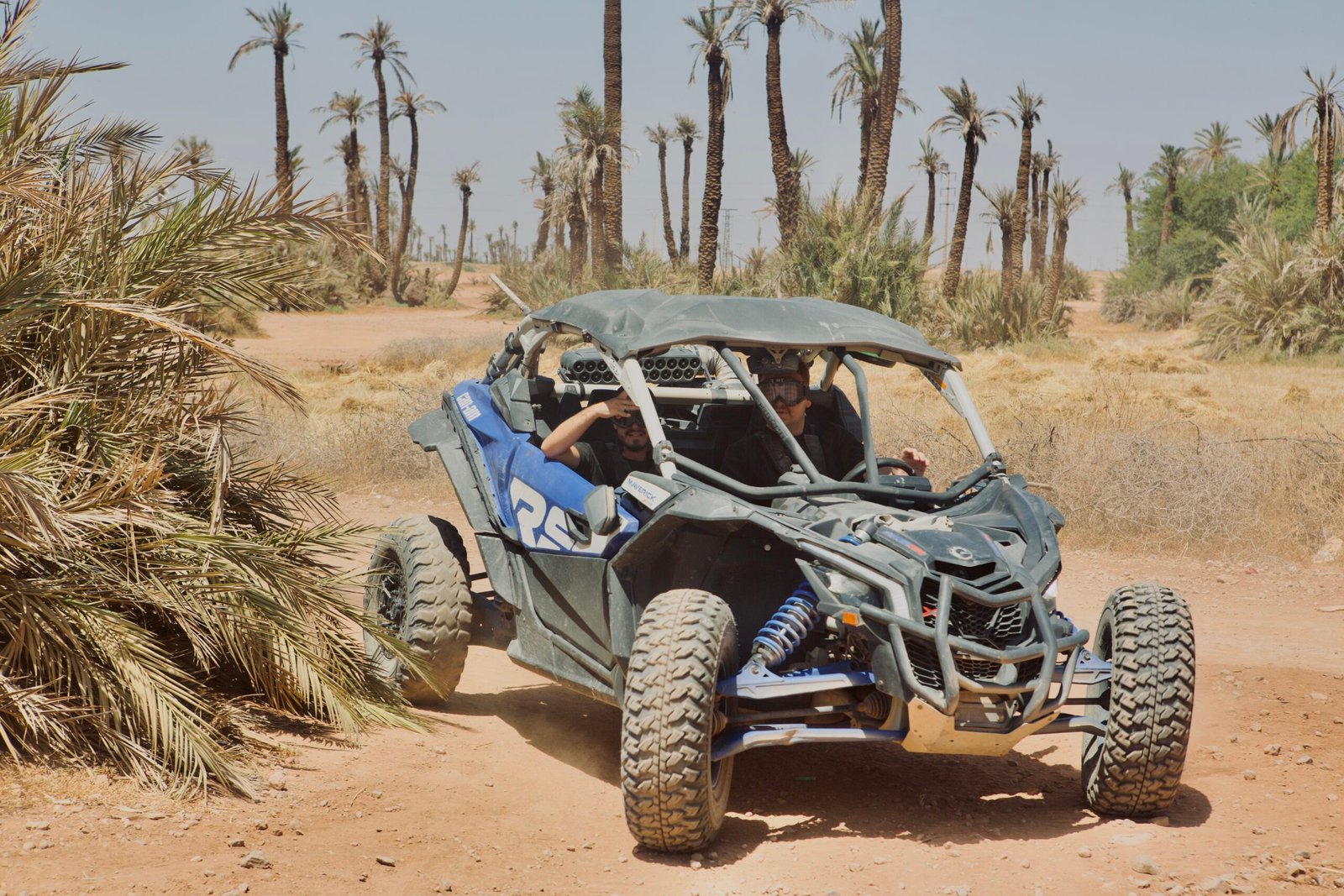 Desert experience