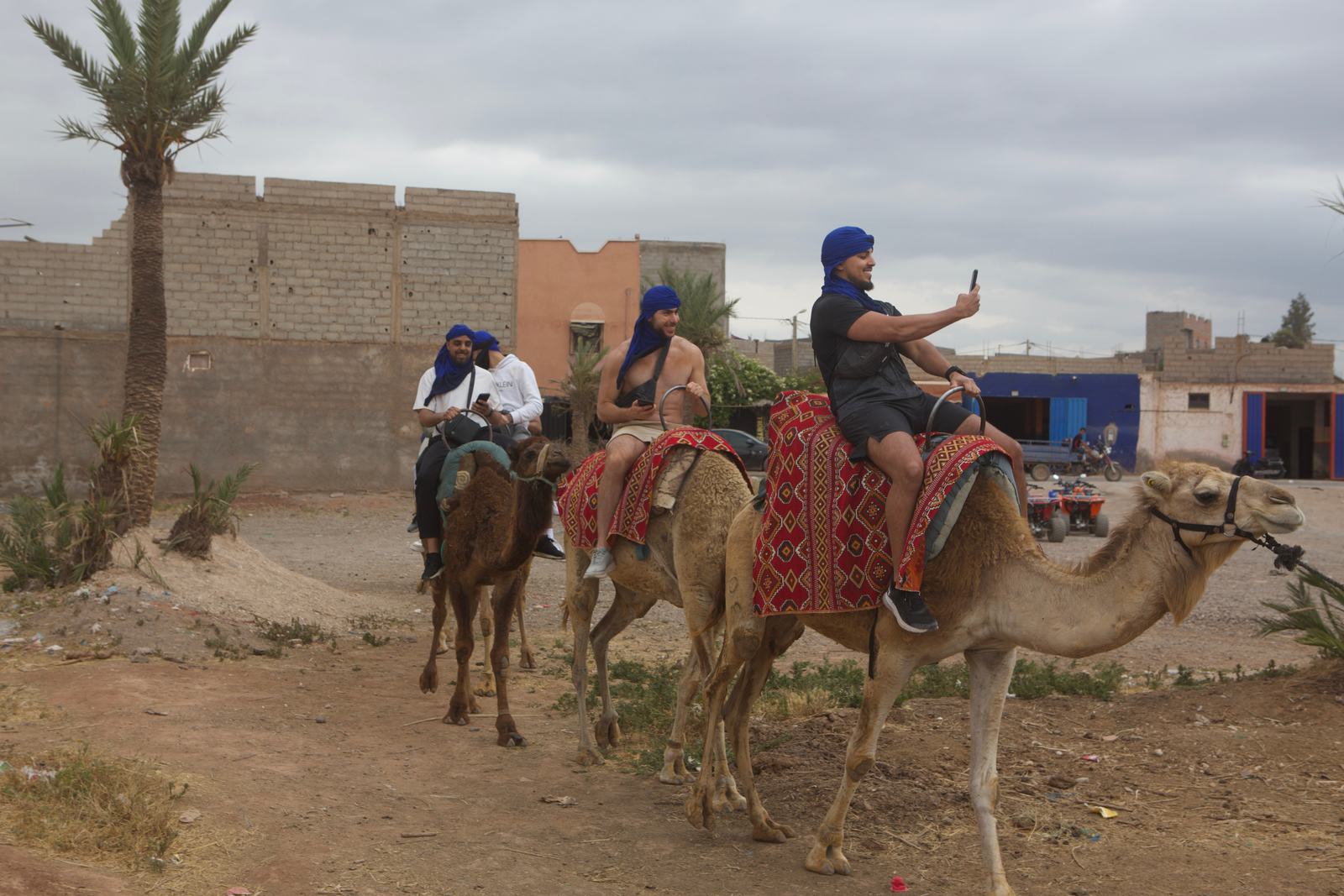 Camel ride