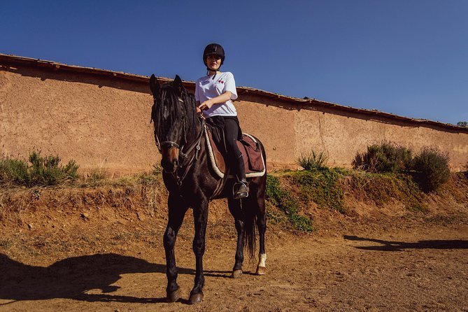 Horse ride