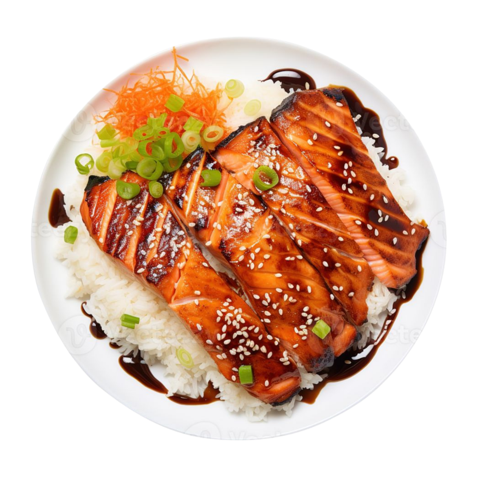 Torched Salmon
